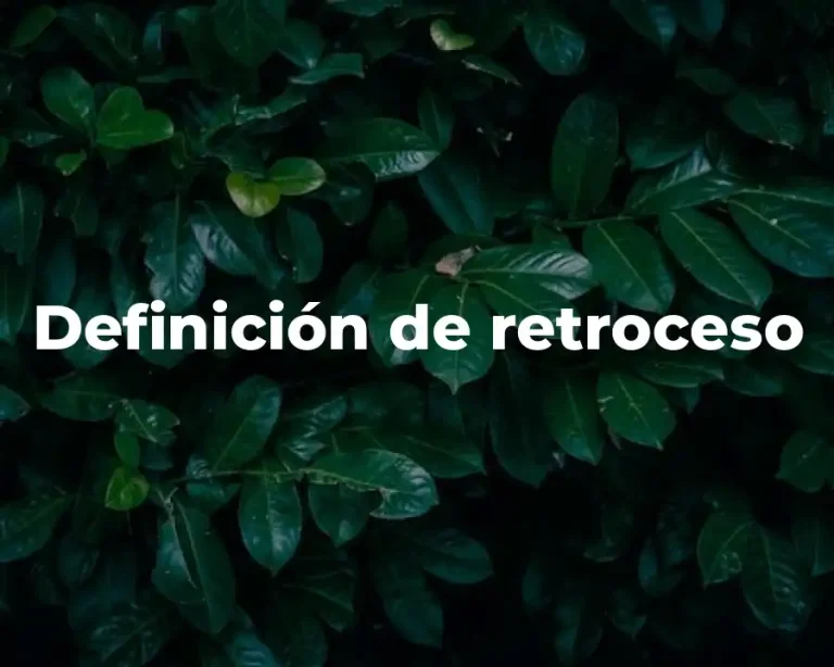 Definición de retroceso