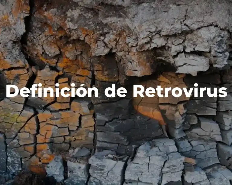 Definición de Retrovirus