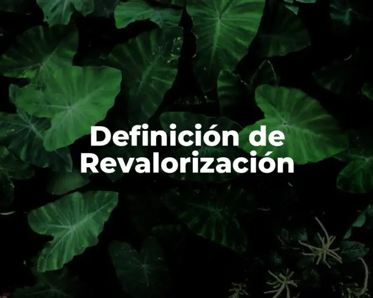 Definición de Revalorización