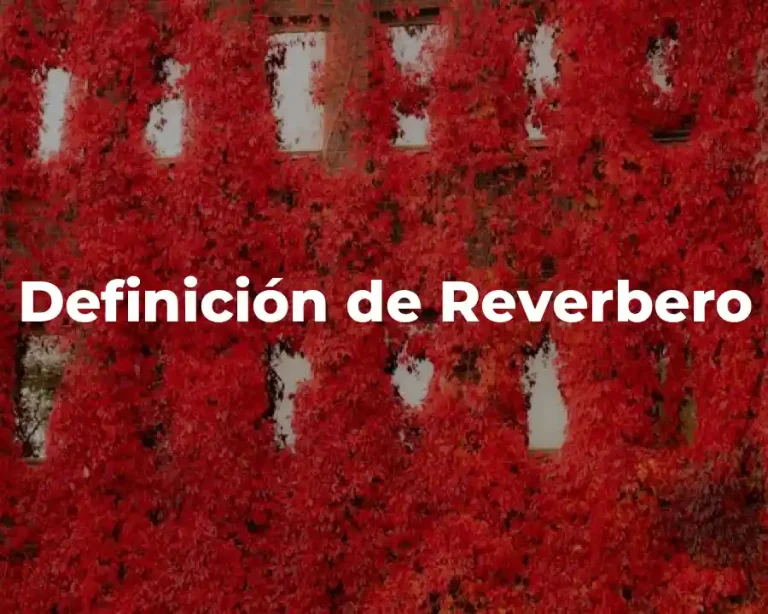 Definición de Reverbero