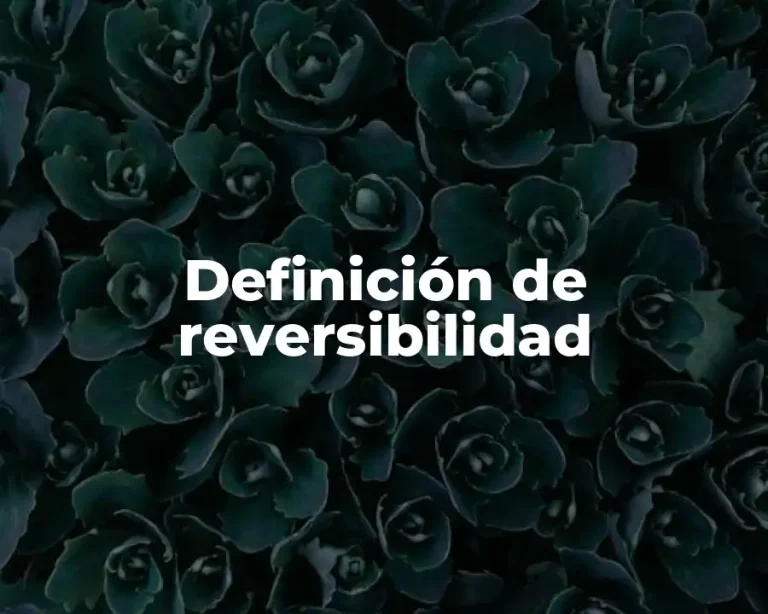 Definición de reversibilidad
