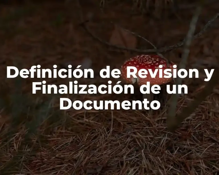 Definición de Revision y Finalización de un Documento