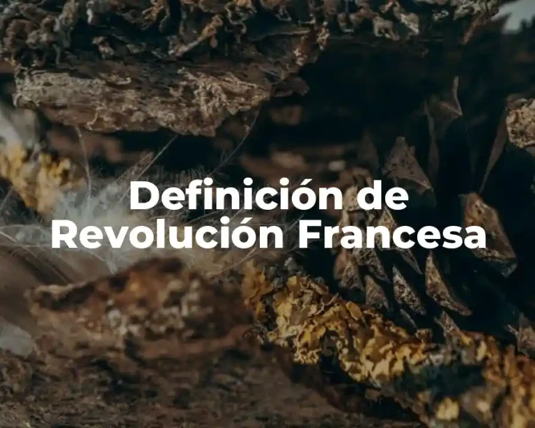 Definición de Revolución Francesa