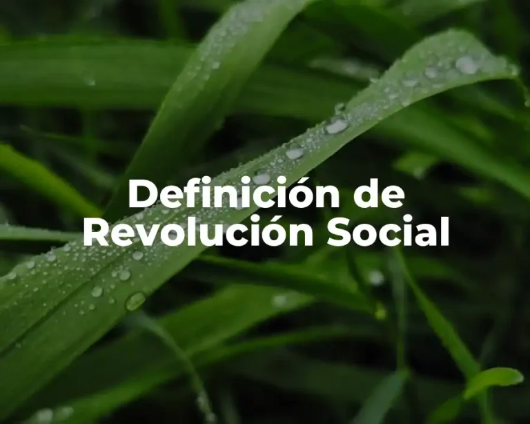 Definición de Revolución Social