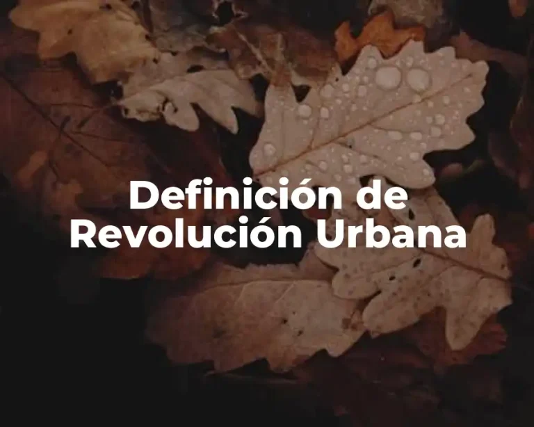 Definición de Revolución Urbana