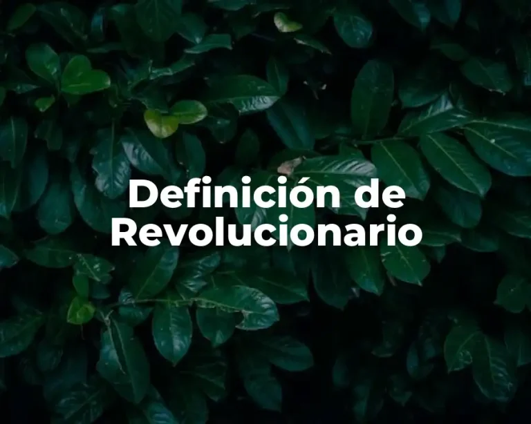 Definición de Revolucionario