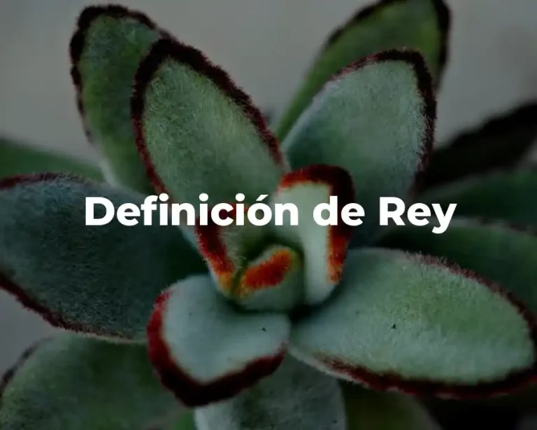 Definición de Rey