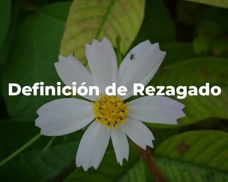 Definición de Rezagado