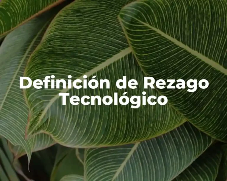 Definición de Rezago Tecnológico