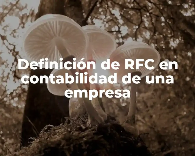 Definición de RFC en contabilidad de una empresa