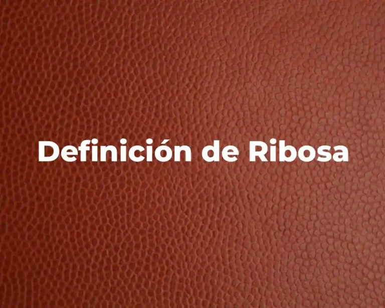 Definición de Ribosa