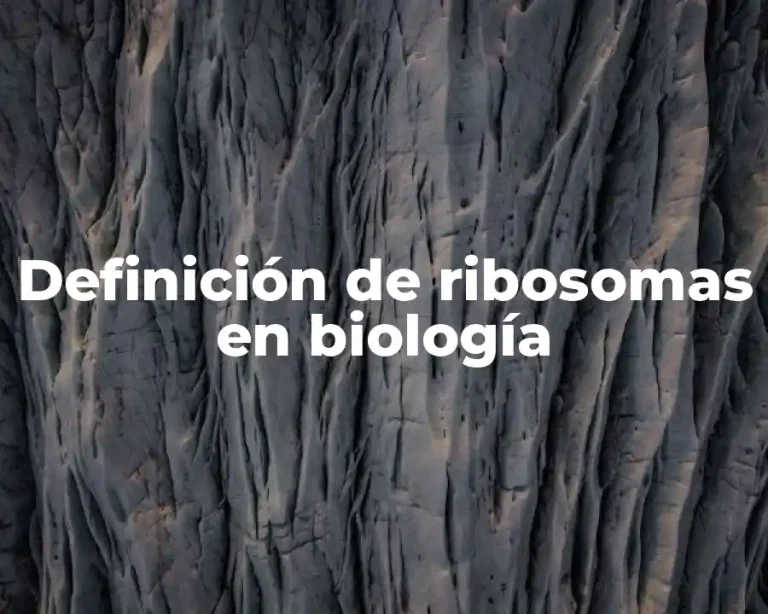 Definición de ribosomas en biología