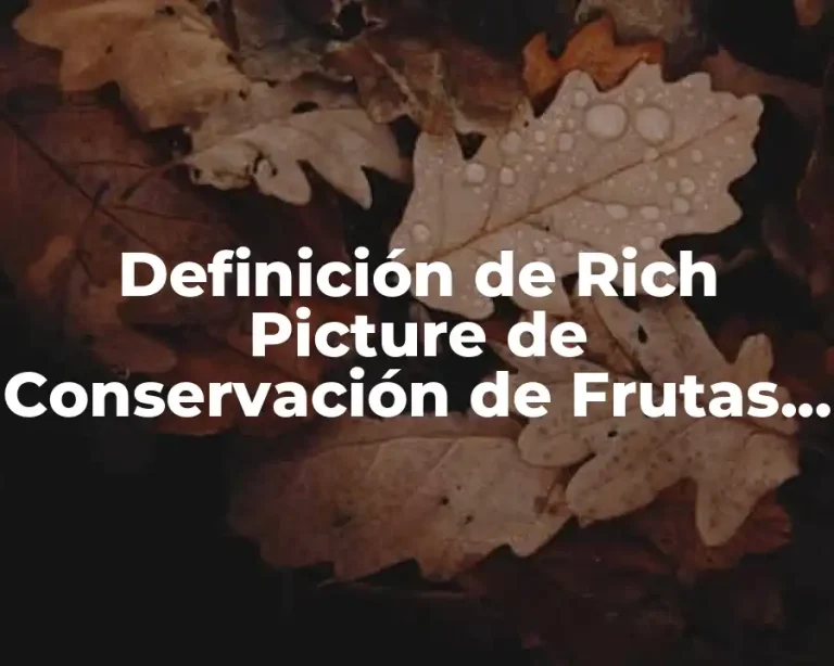 Definición de Rich Picture de Conservación de Frutas Congeladas y Desventajas