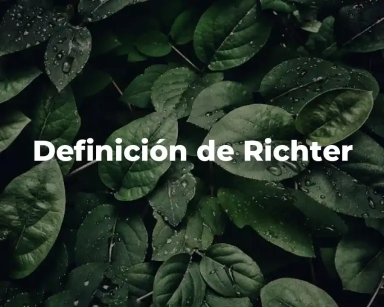 Definición de Richter