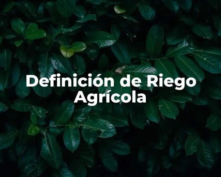 Definición de Riego Agrícola