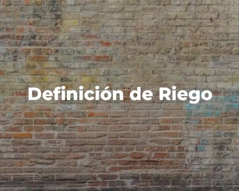Definición de Riego