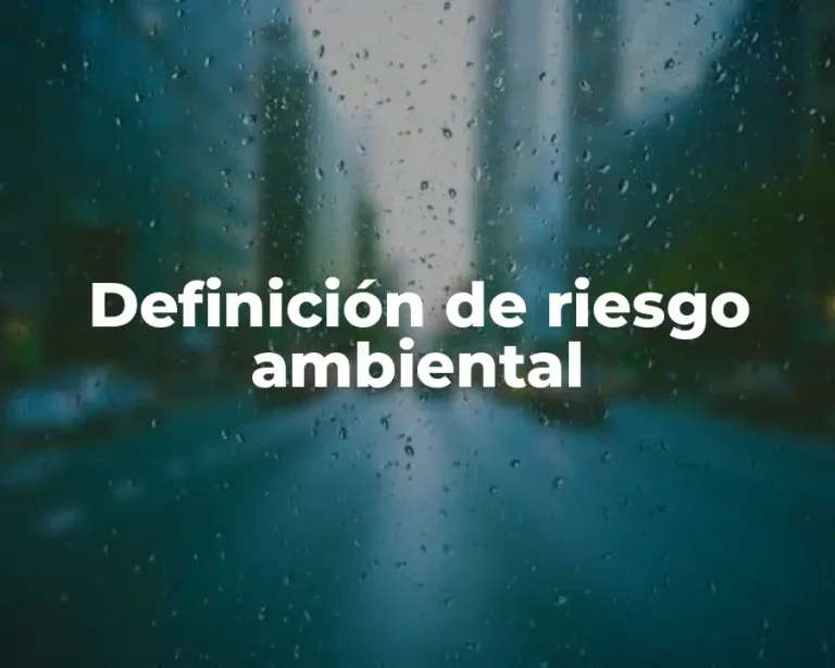 Definición de riesgo ambiental