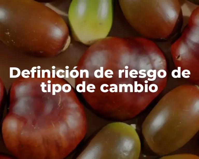Definición de riesgo de tipo de cambio
