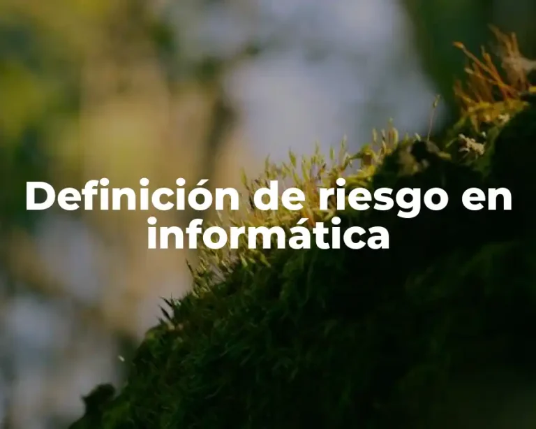 Definición de riesgo en informática