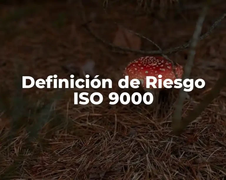 Definición de Riesgo ISO 9000