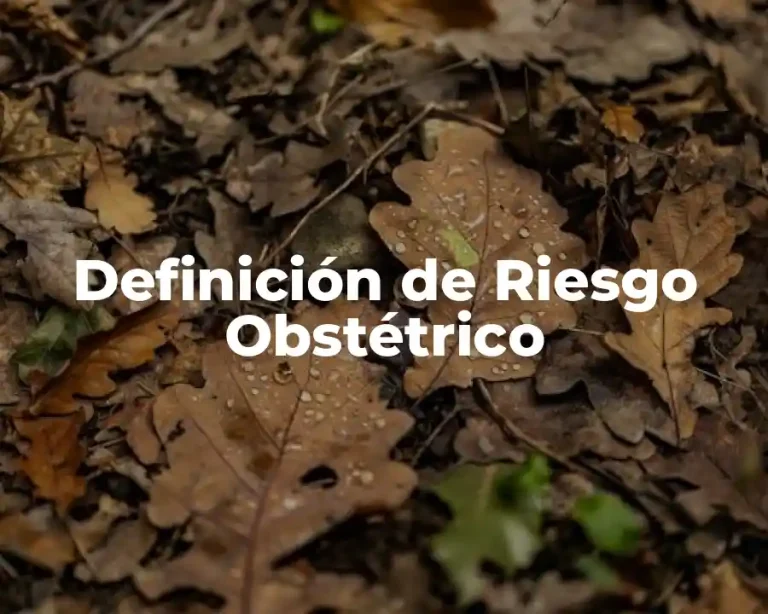 Definición de Riesgo Obstétrico