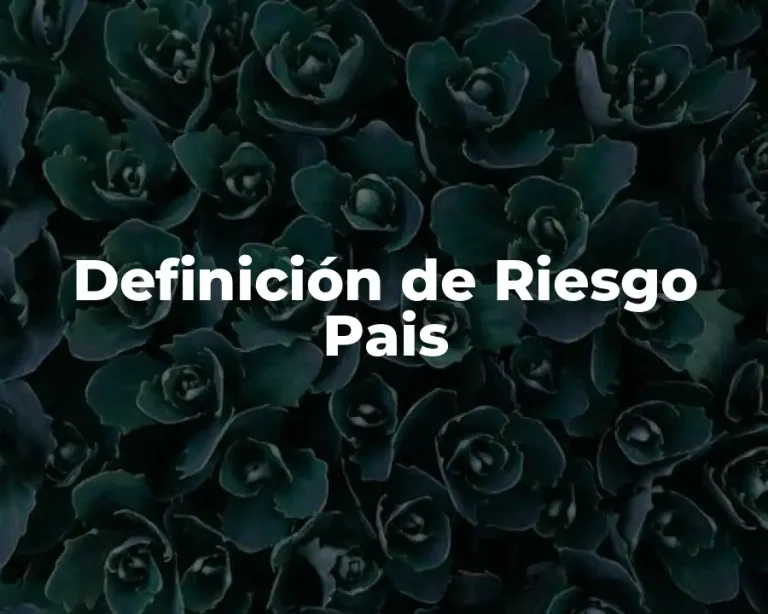 Definición de Riesgo Pais