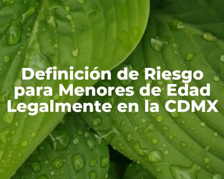 Definición de Riesgo para Menores de Edad Legalmente en la CDMX