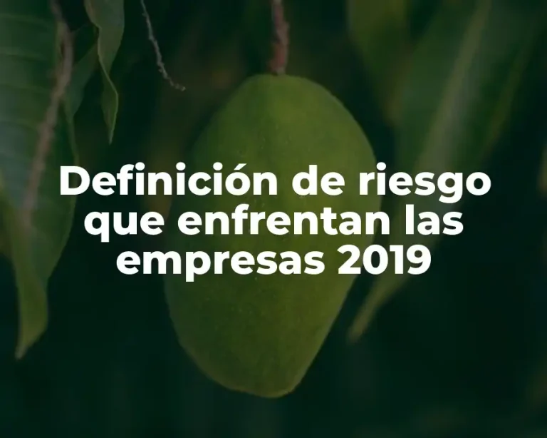 Definición de riesgo que enfrentan las empresas 2019