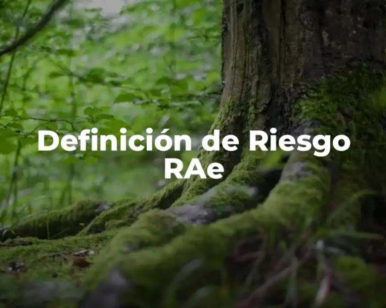 Definición de Riesgo RAe