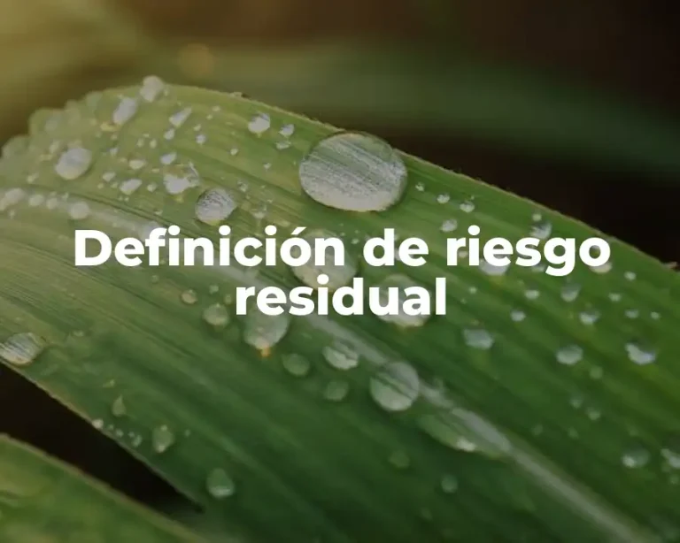 Definición de riesgo residual