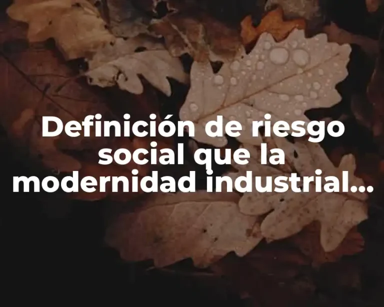 Definición de riesgo social que la modernidad industrial conlleva