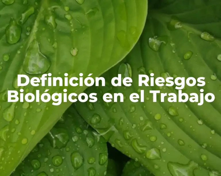 Definición de Riesgos Biológicos en el Trabajo