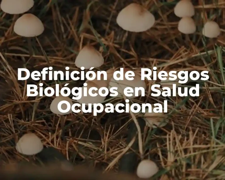 Definición de Riesgos Biológicos en Salud Ocupacional
