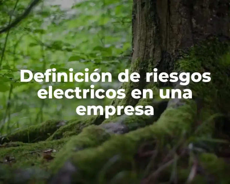 Definición de riesgos electricos en una empresa