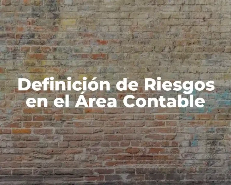 Definición de Riesgos en el Área Contable