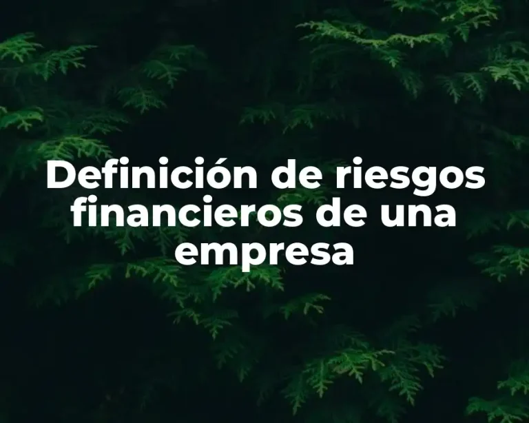 Definición de riesgos financieros de una empresa