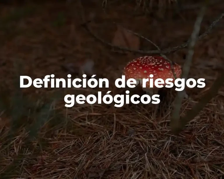 Definición de riesgos geológicos