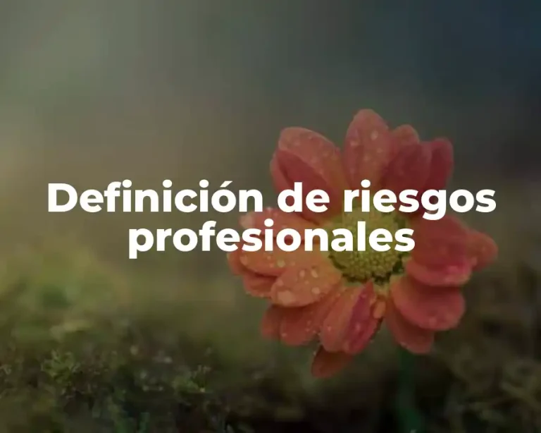 Definición de riesgos profesionales