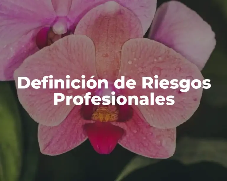 Definición de Riesgos Profesionales