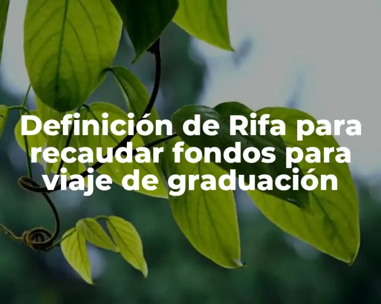 Definición de Rifa para recaudar fondos para viaje de graduación
