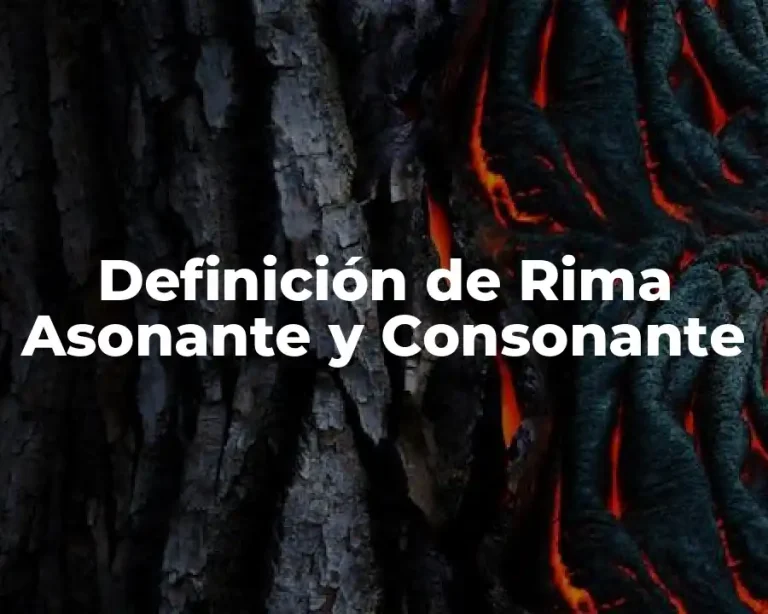 Definición de Rima Asonante y Consonante