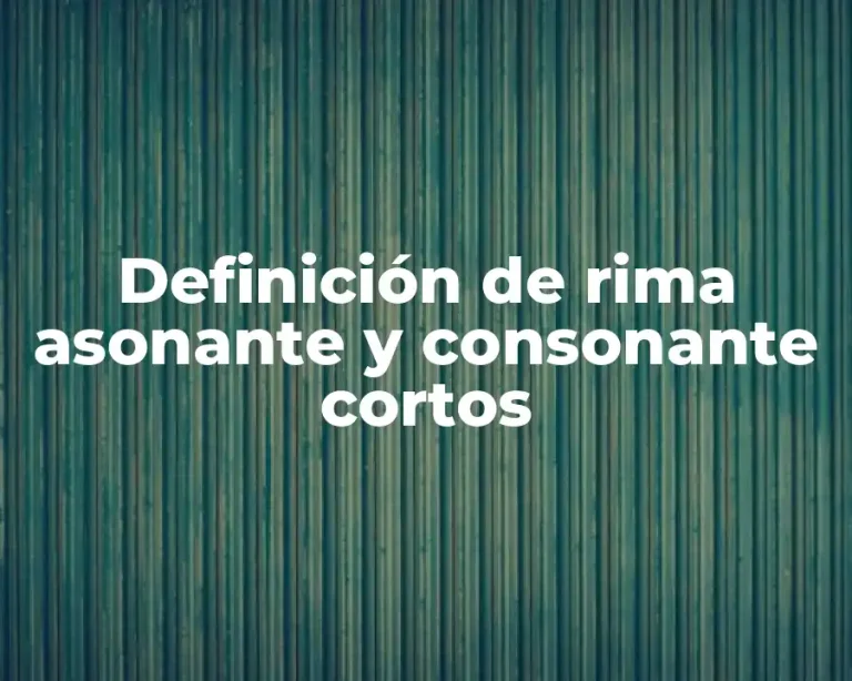 Definición de rima asonante y consonante cortos