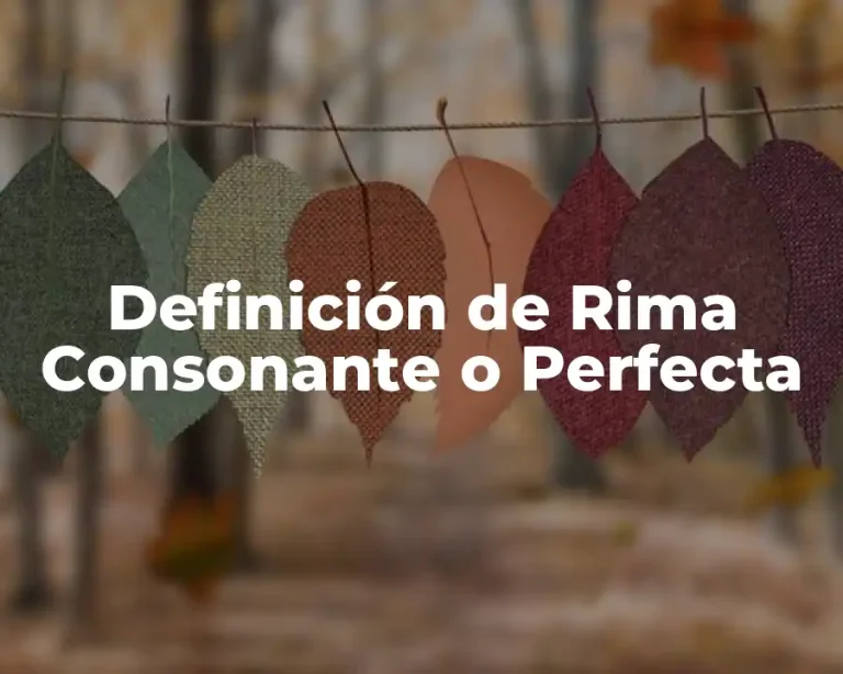 Definición de Rima Consonante o Perfecta