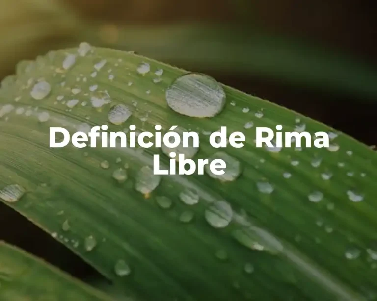 Definición de Rima Libre