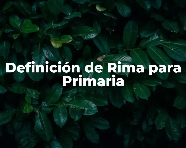 Definición de Rima para Primaria