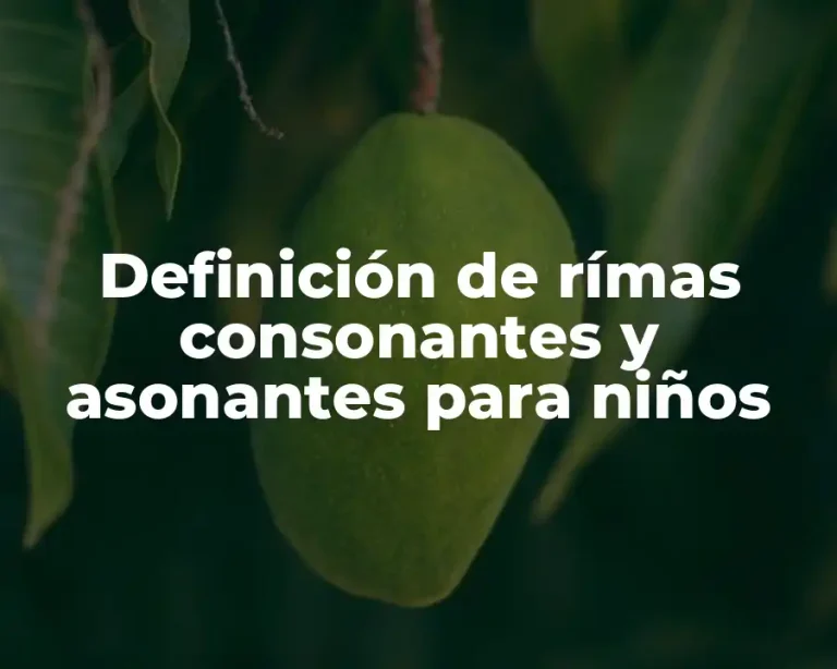 Definición de rímas consonantes y asonantes para niños