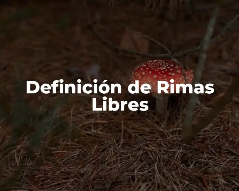Definición de Rimas Libres