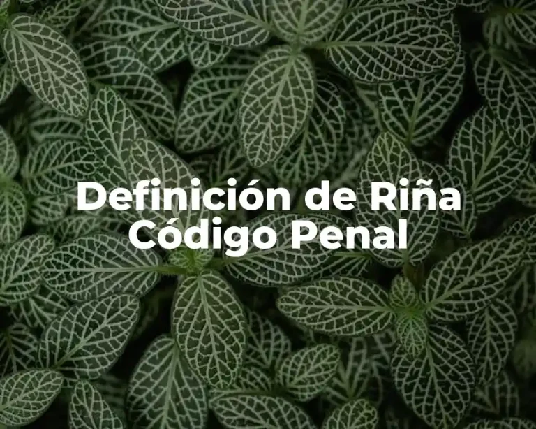 Definición de Riña Código Penal
