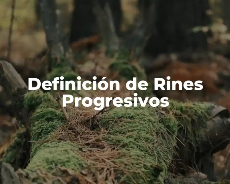 Definición de Rines Progresivos