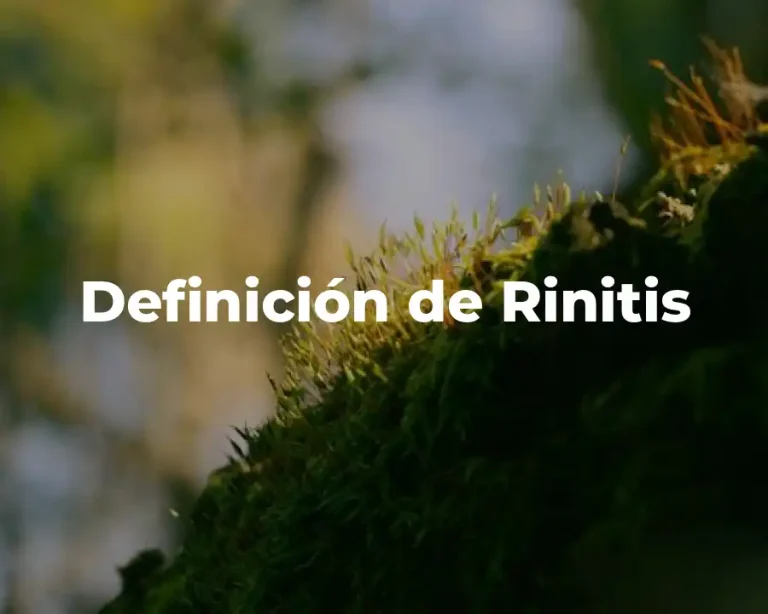Definición de Rinitis